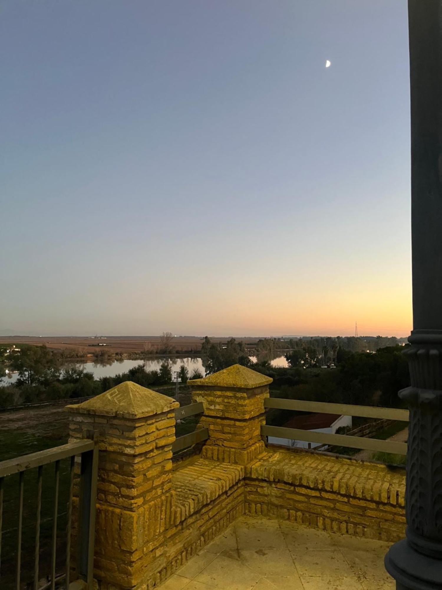 Estudio Las Palmillas Puebla del Río Esterno foto